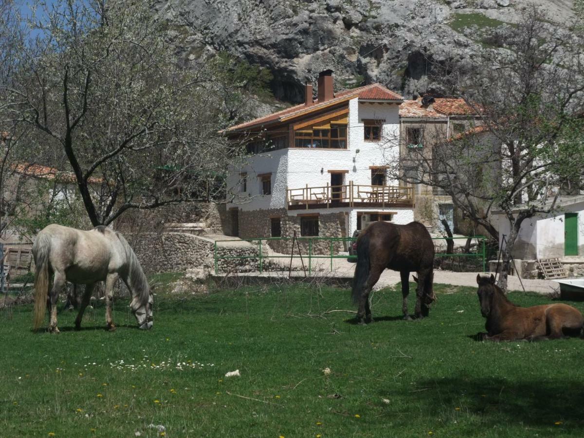 Casas Rurales El Nacimiento Pontones  Kültér fotó