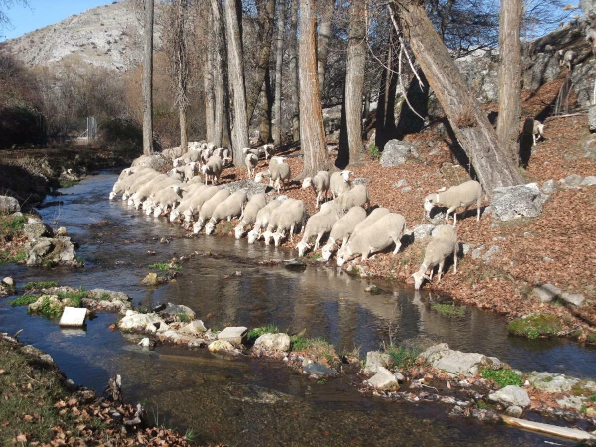 Casas Rurales El Nacimiento Pontones  Kültér fotó