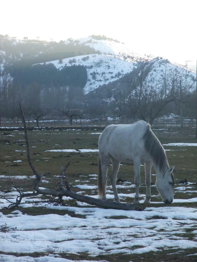 Casas Rurales El Nacimiento Pontones  Kültér fotó